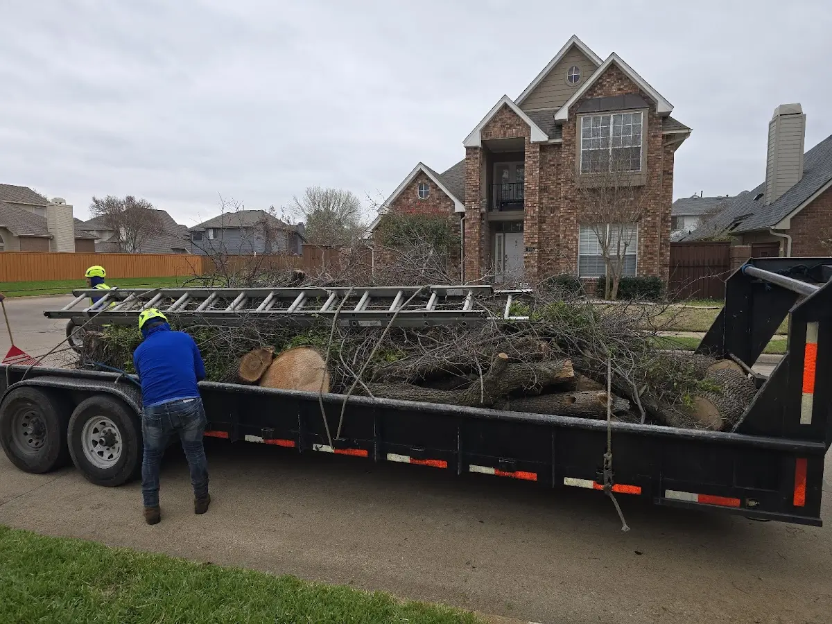 Expert Tree Fertilization with proper safety equipment in Burfordville